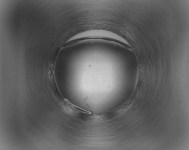 X0000073990237200609061006