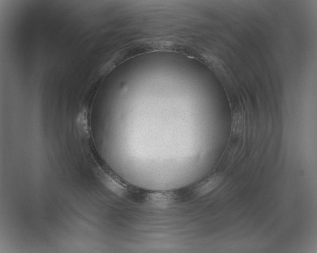 X0000073990238200609061006