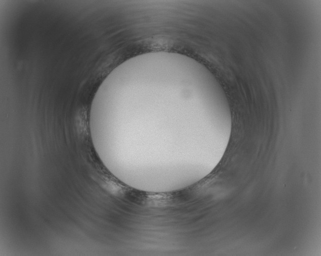 X0000073990240200609061006