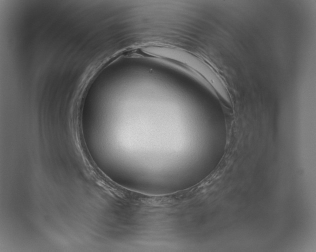 X0000073990241200609061005