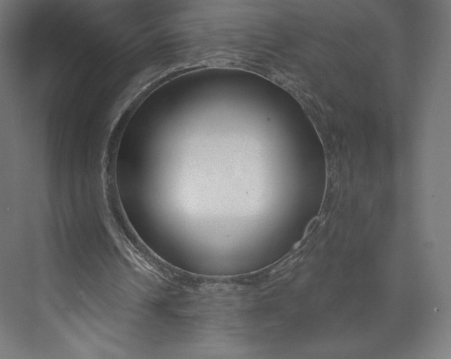 X0000073990242200609061005