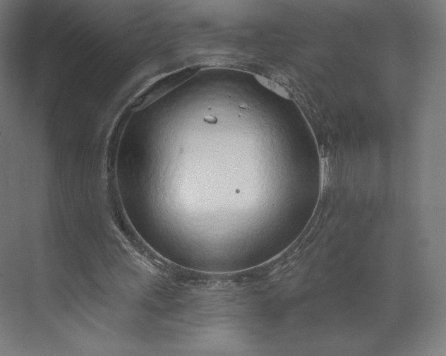 X0000073990243200609061005