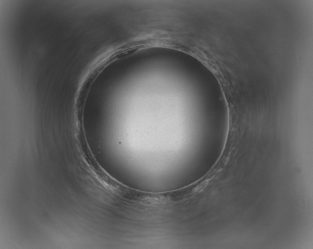 X0000073990245200609061005