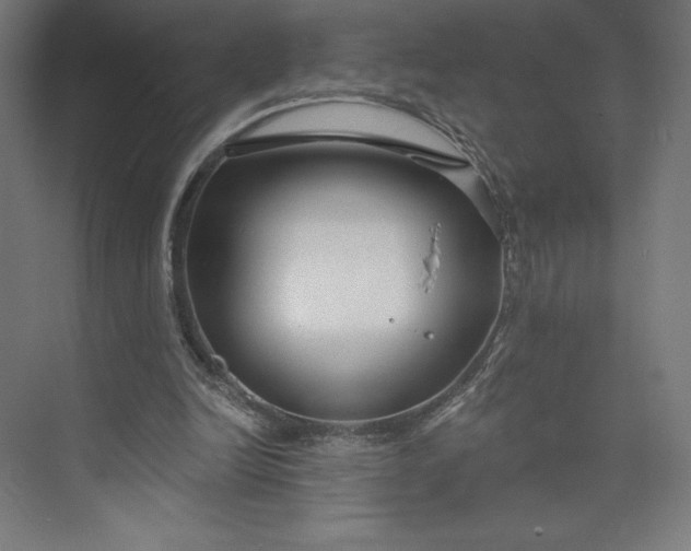 X0000073990246200609061005