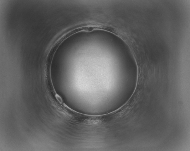 X0000073990247200609061005