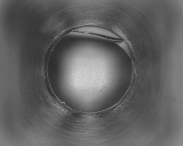 X0000073990249200609061005