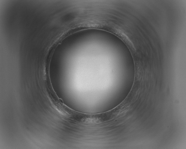 X0000073990251200609061005