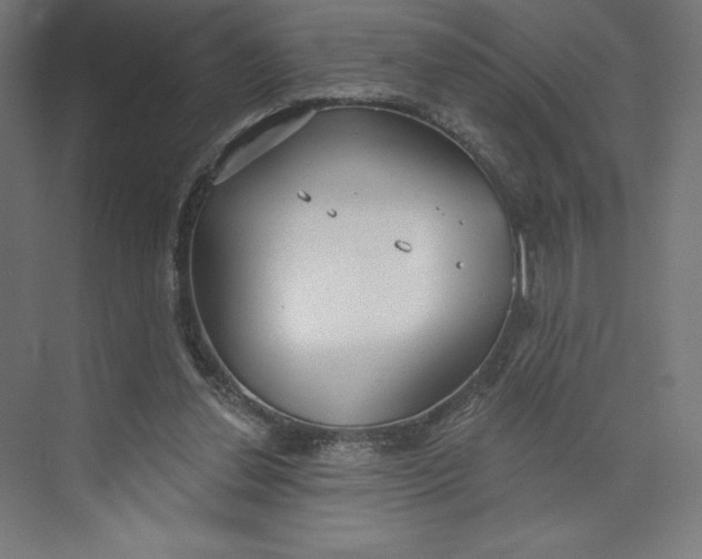 X0000073990252200609061005