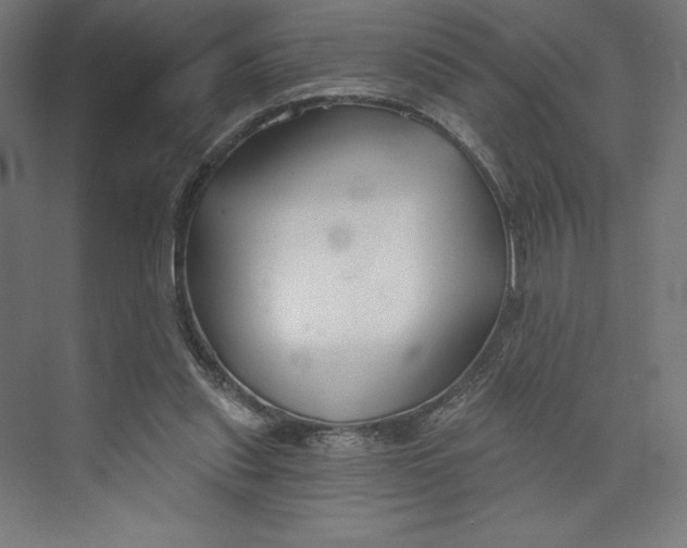 X0000073990253200609061005