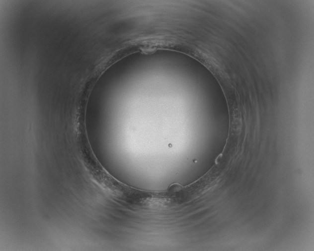 X0000073990255200609061005