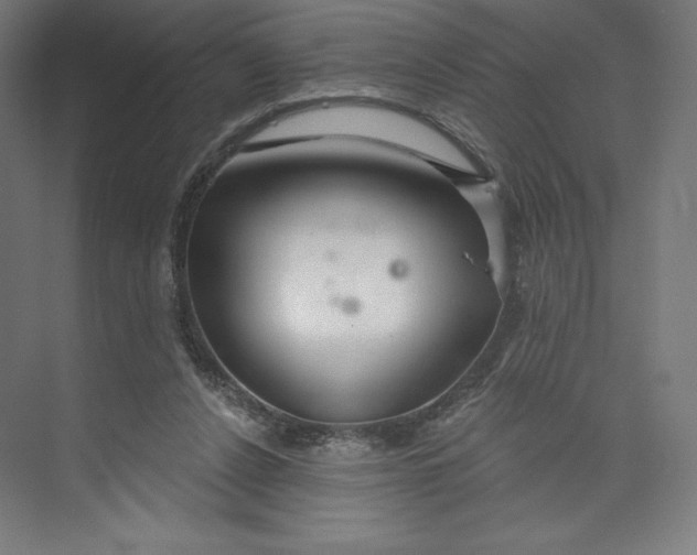 X0000073990256200609061005