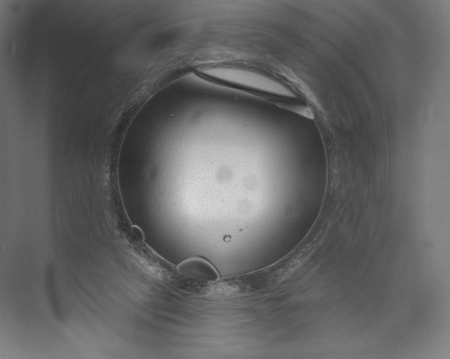 X0000073990257200609061005