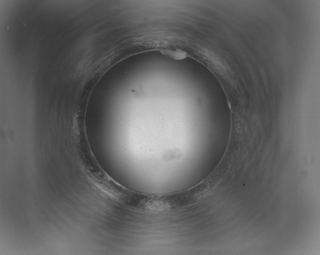 X0000073990258200609061005