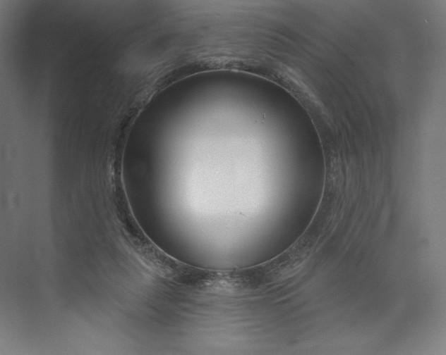 X0000073990259200609061005