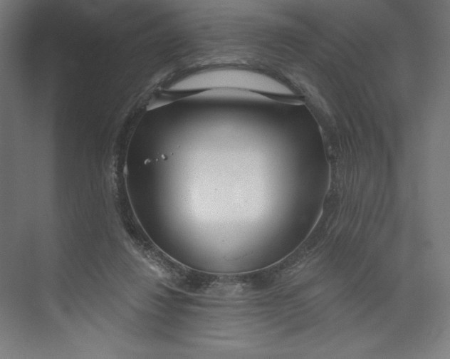 X0000073990260200609061005