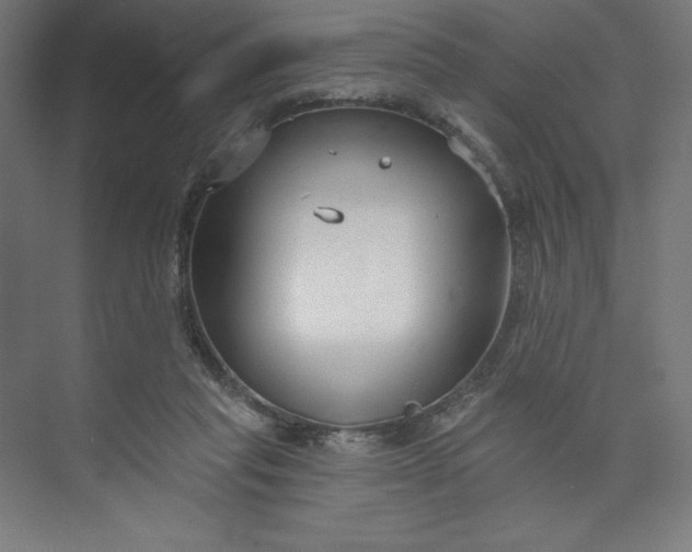 X0000073990261200609061005