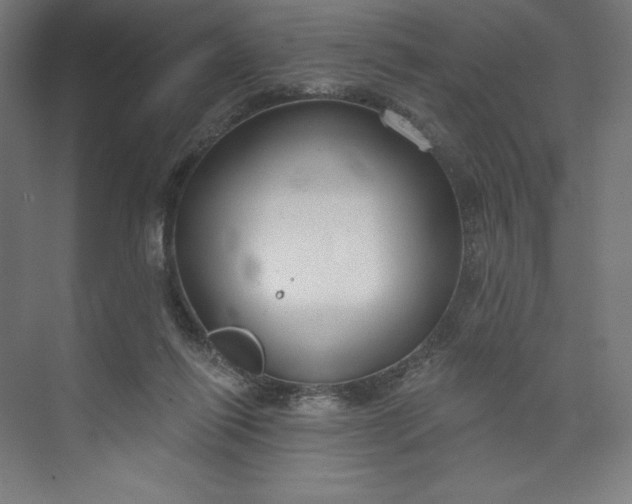 X0000073990262200609061005