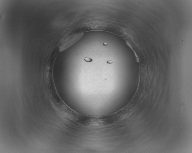 X0000073990263200609061005