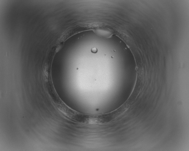 X0000073990264200609061005