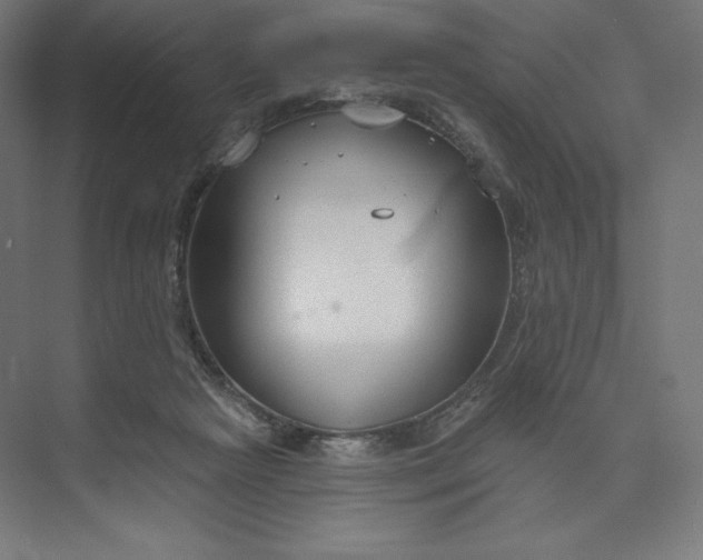 X0000073990265200609061005