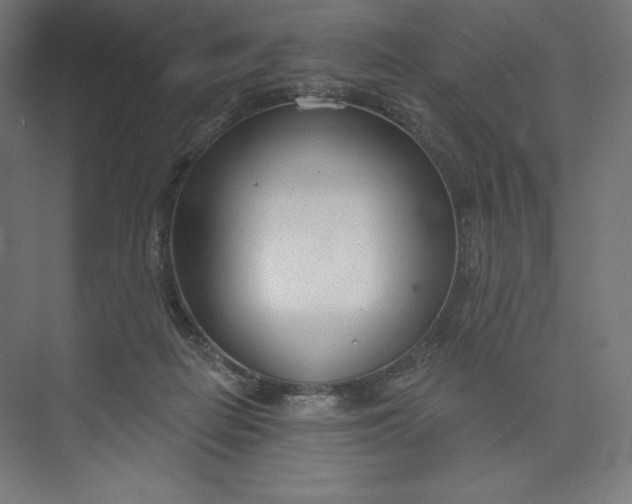 X0000073990266200609061005