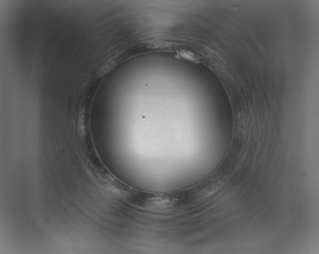 X0000073990267200609061005