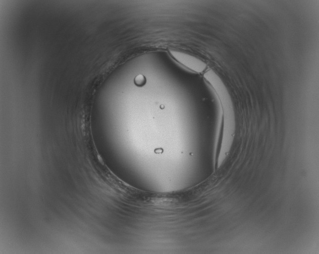 X0000073990268200609061005