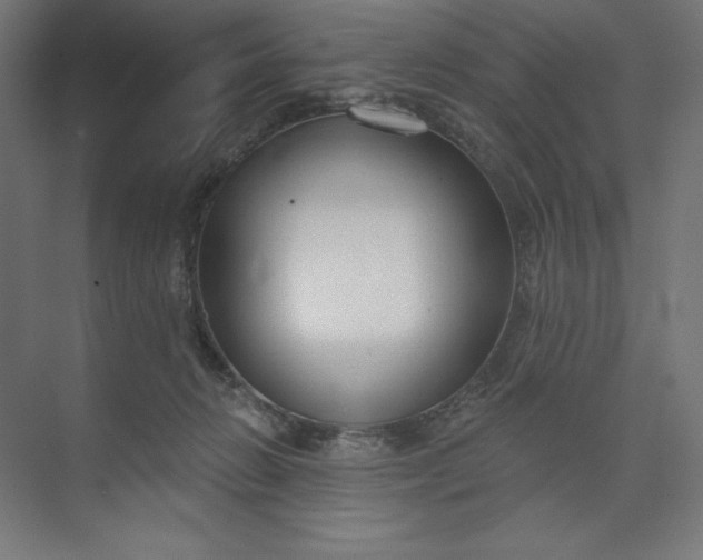 X0000073990270200609061005