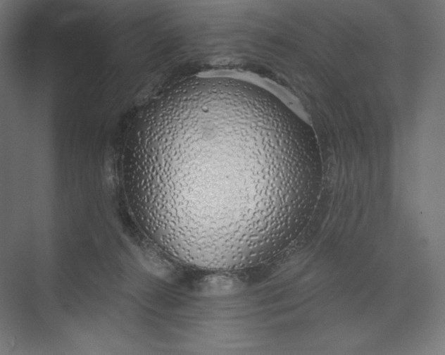 X0000073990272200609061005