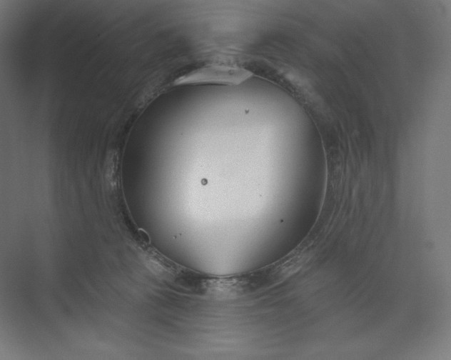 X0000073990273200609061005