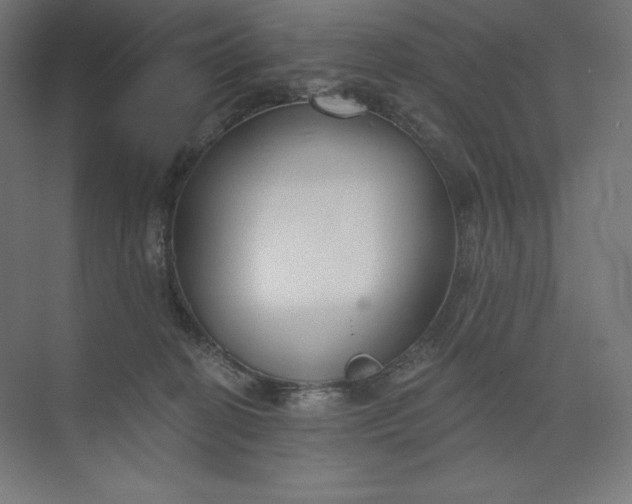 X0000073990274200609061005