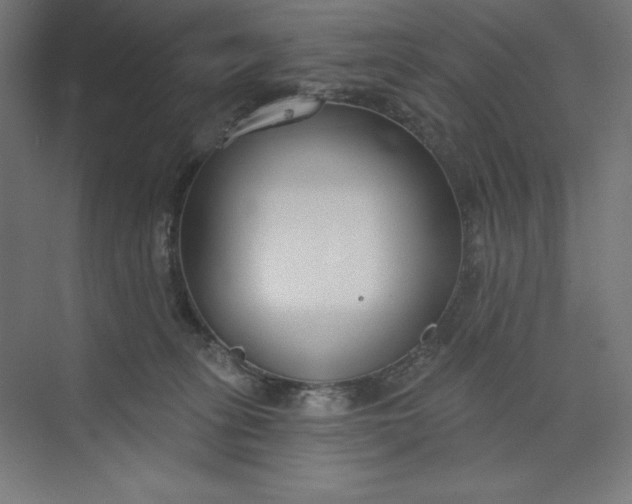 X0000073990275200609061005