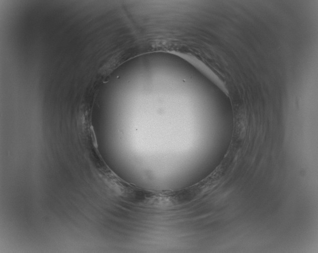 X0000073990276200609061005