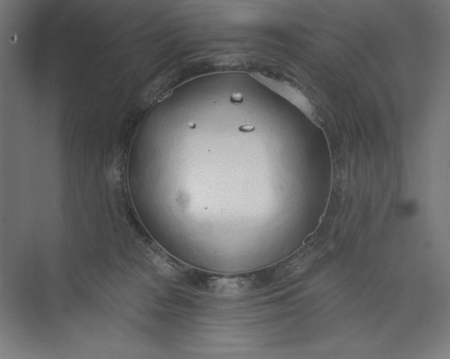 X0000073990277200609061005