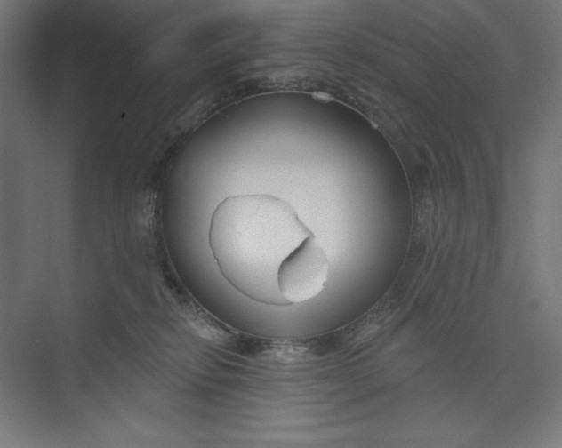 X0000073990278200609061005