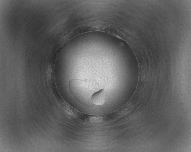 X0000073990279200609061005