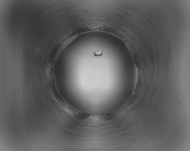 X0000073990280200609061005