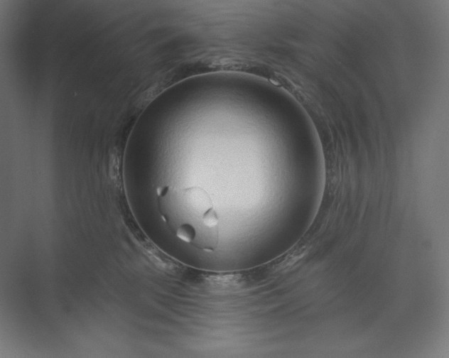 X0000073990281200609061005