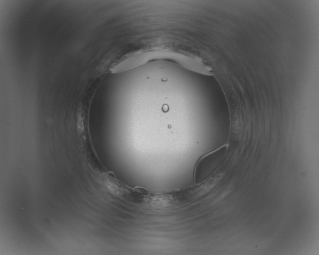 X0000073990282200609061005