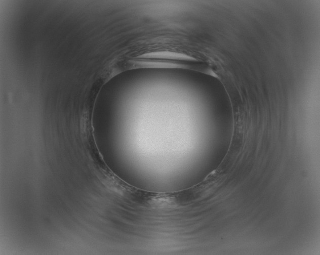 X0000073990283200609061005