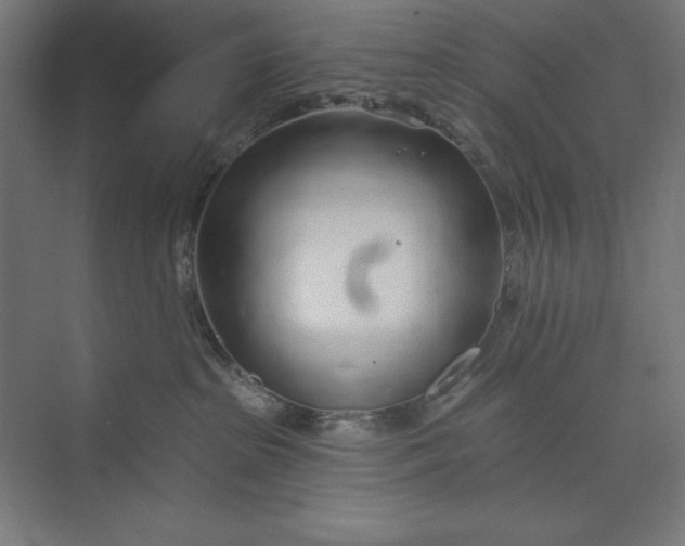 X0000073990285200609061005