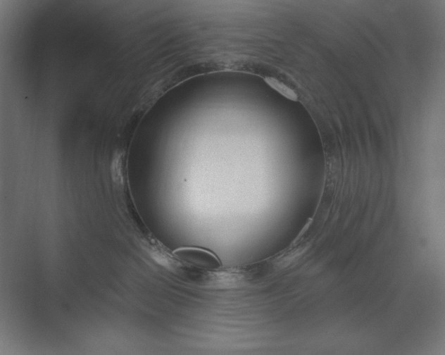 X0000073990286200609061006