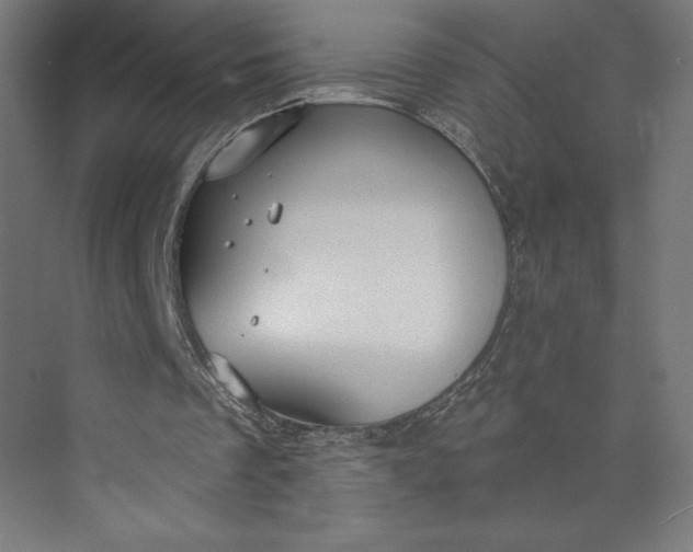 X0000073990289200609061005