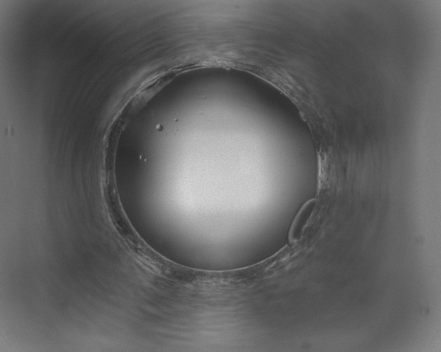 X0000073990291200609061005