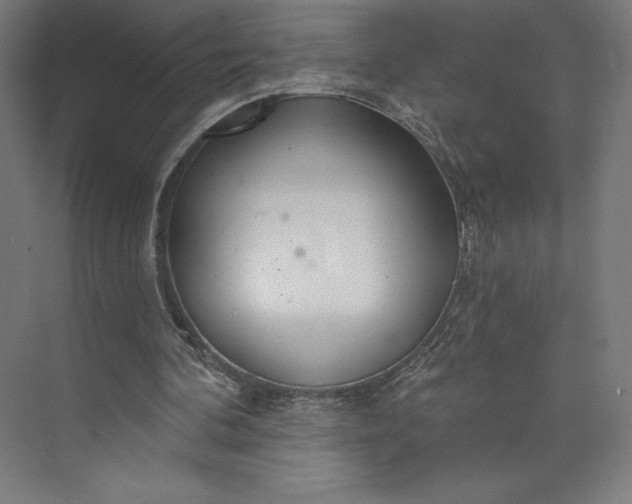 X0000073990292200609061005