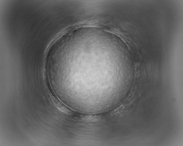 X0000073990293200609061005