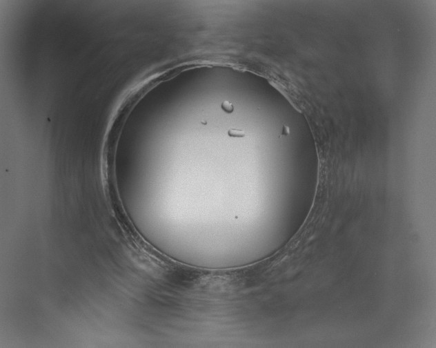 X0000073990294200609061005