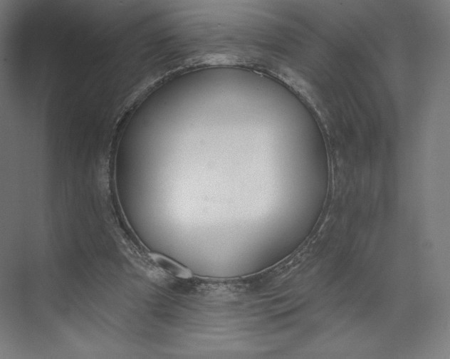 X0000073990297200609061005