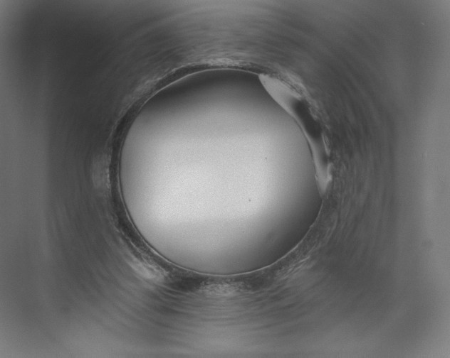 X0000073990299200609061005