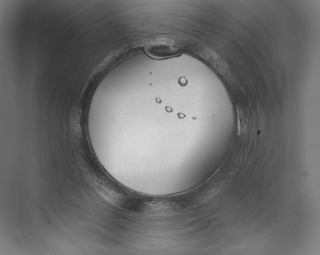 X0000073990300200609061005